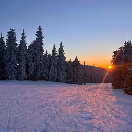 Woodside M Free Parking Apartamento *