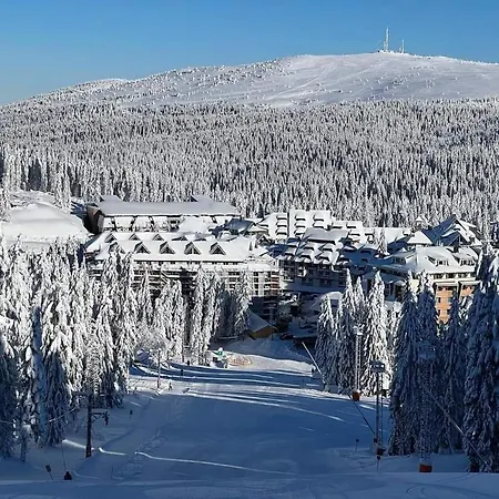 Apartamento Woodside M Free Parking *