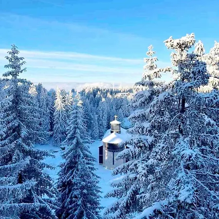 Woodside M Free Parking * Kopaonik