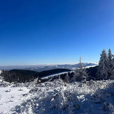 Woodside M Free Parking Apartamento