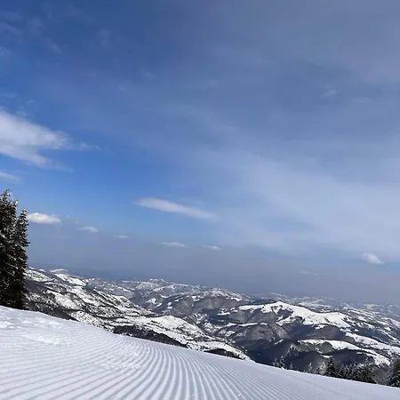 Woodside M Free Parking Apartamento