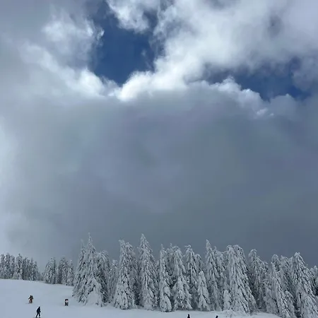 Woodside M Free Parking * Kopaonik