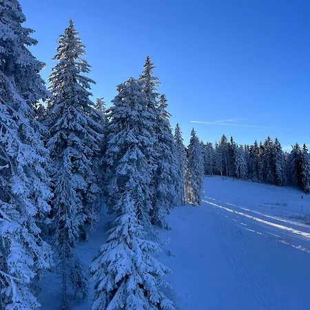 Woodside M Free Parking