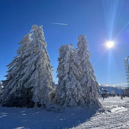 Woodside M Free Parking * Kopaonik