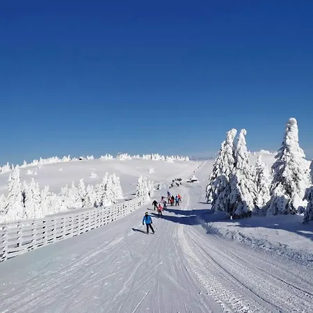 Woodside M Free Parking Apartamento Kopaonik