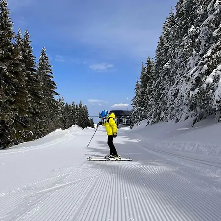 Woodside M Free Parking Daire