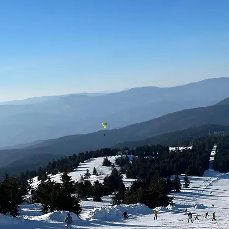 Woodside M Free Parking Kopaonik